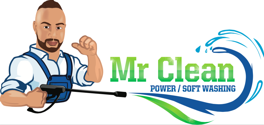 Mr Clean Power/Soft Washing